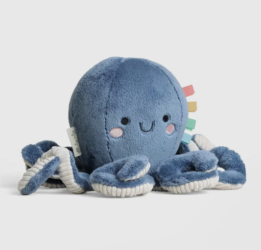 Itzy Ritzy Plush Snuggles
